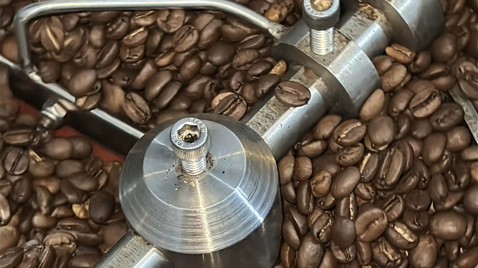Sacamuestras del tostador de PEDALiCAFÉ sobre granos de café recién tostados